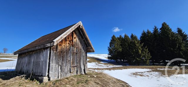 maison à vendre - 7 pièces - 300.0 m2 - LAJOUX - 39 - FRANCHE-COMTE - Century 21 Sanac Immobilier