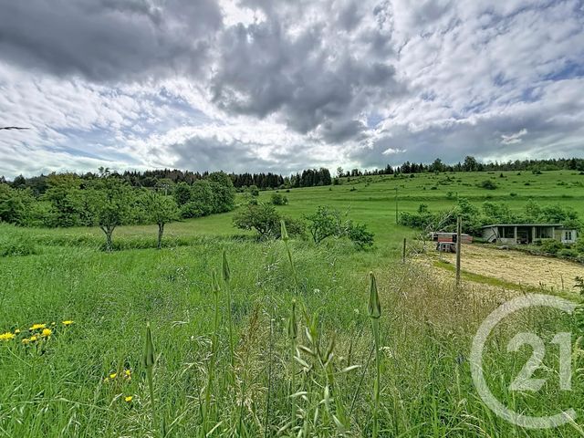 maison à vendre - 3 pièces - 107.34 m2 - HAUTS DE BIENNE - 39 - FRANCHE-COMTE - Century 21 Sanac Immobilier